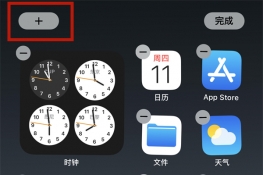苹果插件设置在哪